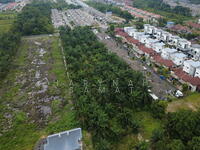 For Sale - Labu Lanjut