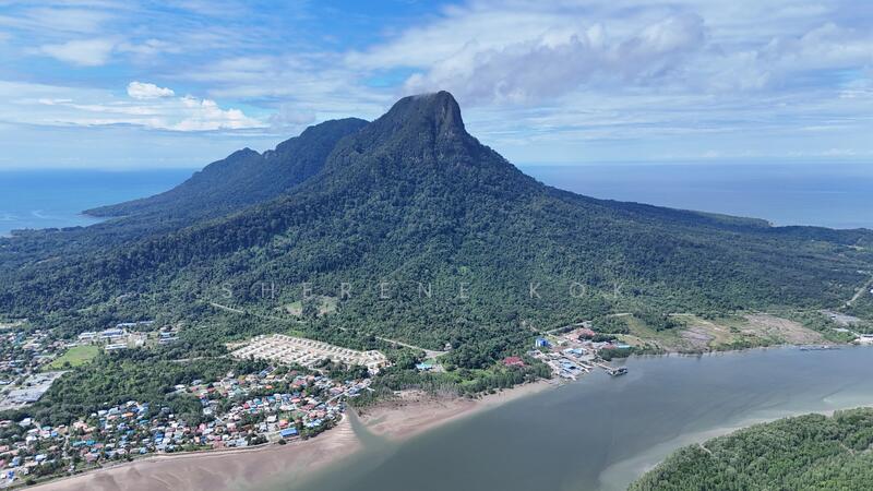 Agricultural Land for Sale in Santubong (Kuching) - Sherene Kok - Exterior - PropertyGuru.com.my