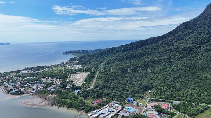 Agricultural Land for Sale in Santubong (Kuching) - Sherene Kok - PropertyGuru.com.my