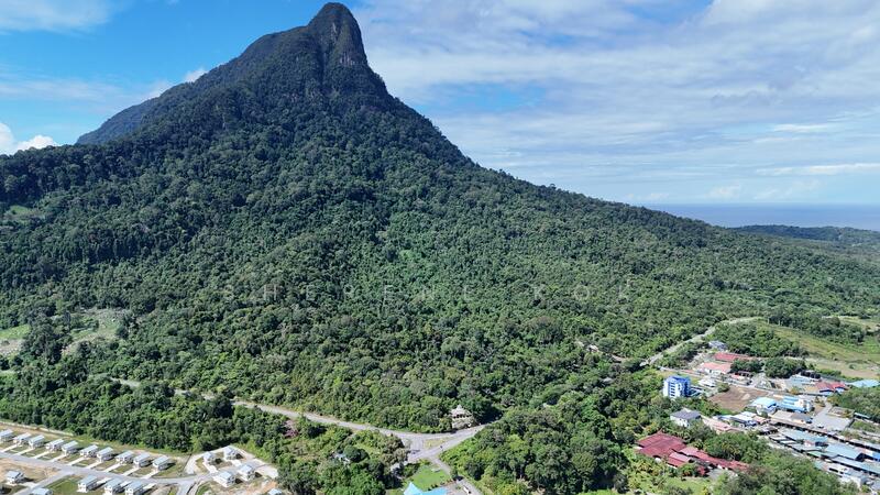 Agricultural Land for Sale in Santubong (Kuching) - Sherene Kok - PropertyGuru.com.my