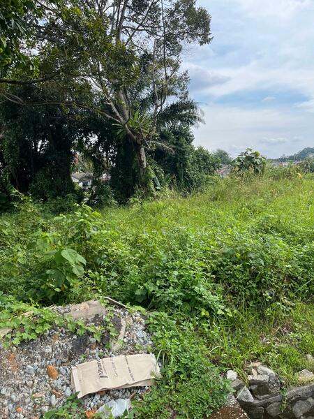 Land condition
