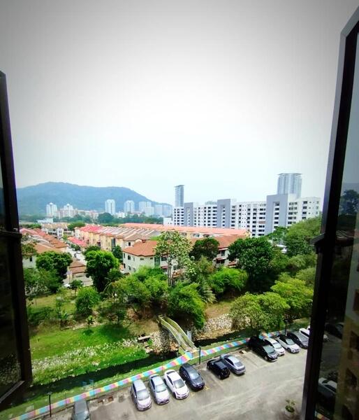 View