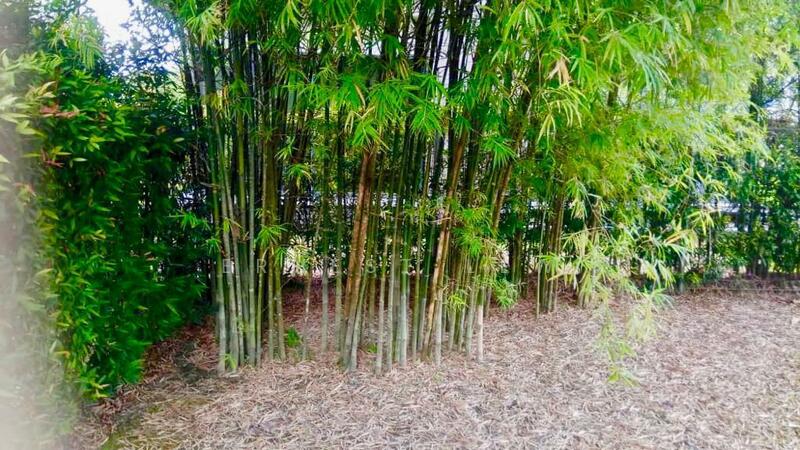 Bungalow House untuk Disewa di Leisure Farm (Gelang Patah) - Ernest Lew - Garden - PropertyGuru.com.my