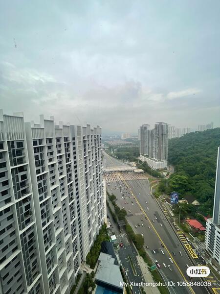 View
