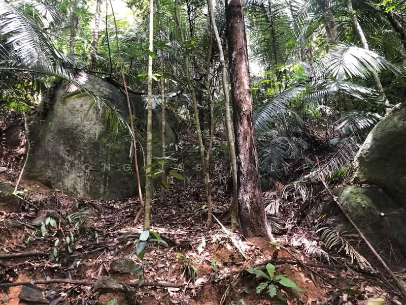 Tanah Pertanian untuk Dijual di Bandar Bukit Beruntung (Bukit Beruntung) - Yong Jasmine Po Nyin - Exterior - PropertyGuru.com.my