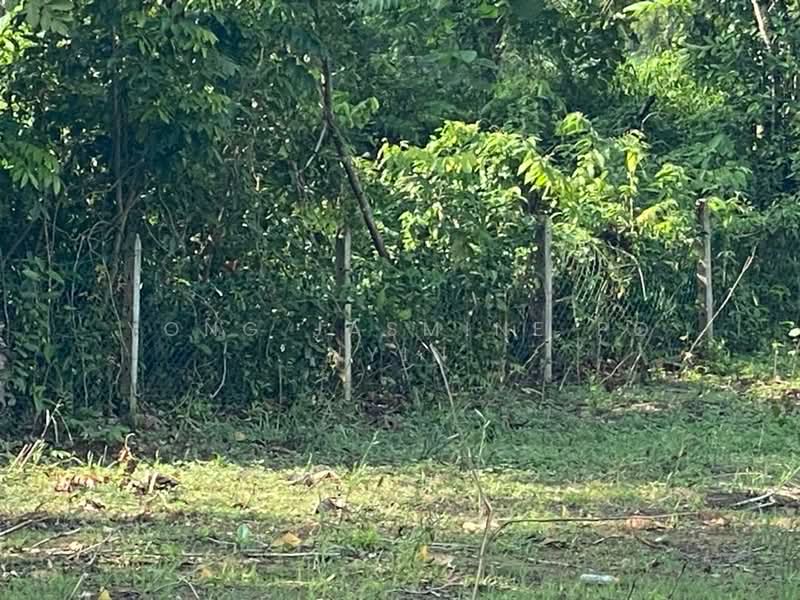 Tanah Pertanian untuk Dijual di Bandar Bukit Beruntung (Bukit Beruntung) - Yong Jasmine Po Nyin - Exterior - PropertyGuru.com.my