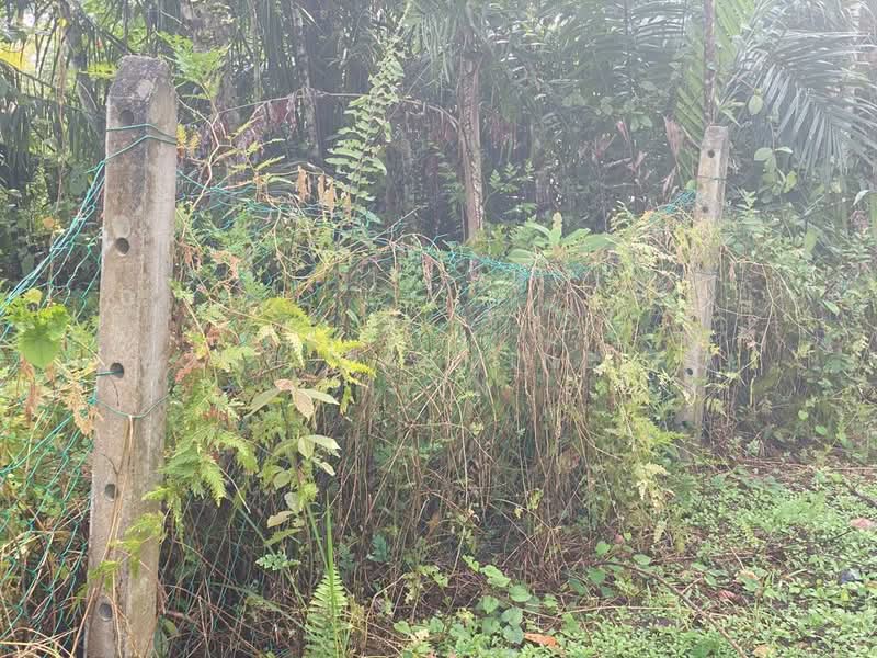 Tanah Pertanian untuk Dijual di Bandar Bukit Beruntung (Bukit Beruntung) - Yong Jasmine Po Nyin - Exterior - PropertyGuru.com.my