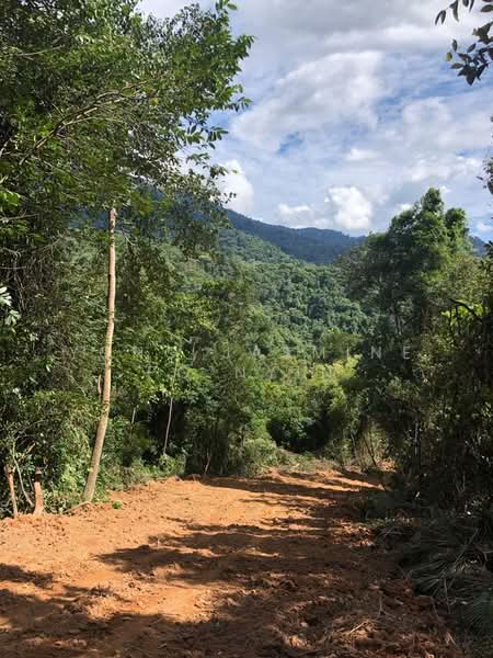 Tanah Pertanian untuk Dijual di Bandar Bukit Beruntung (Bukit Beruntung) - Yong Jasmine Po Nyin - Exterior - PropertyGuru.com.my
