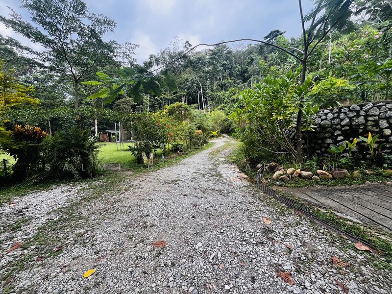 Untuk Dijual - Agricultural Land at Kampung Ulu Rening