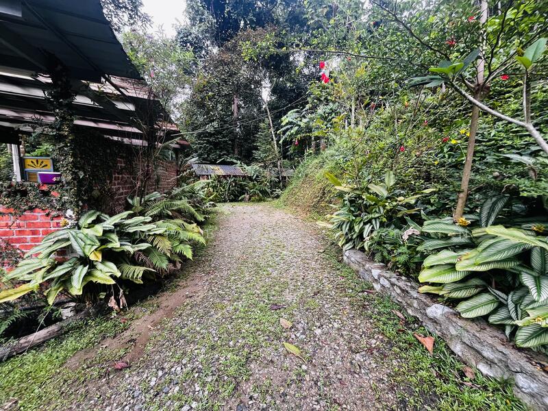 Untuk Dijual - Agricultural Land at Kampung Ulu Rening