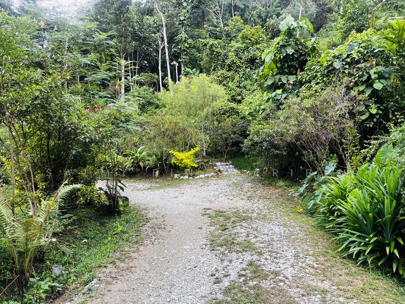 Untuk Dijual - Agricultural Land at Kampung Ulu Rening