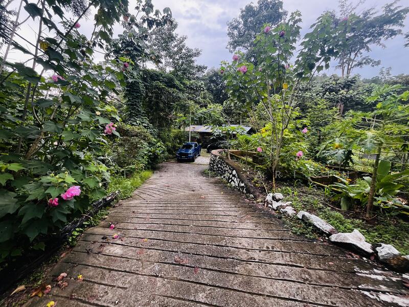 Untuk Dijual - Agricultural Land at Kampung Ulu Rening