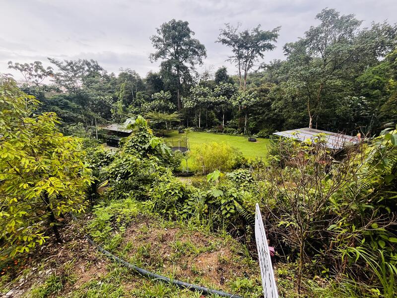 Untuk Dijual - Agricultural Land at Kampung Ulu Rening