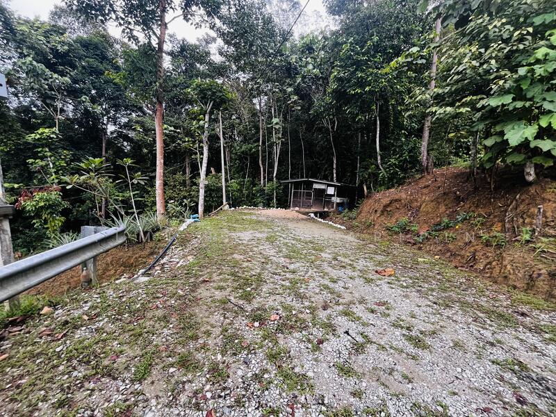 Untuk Dijual - Agricultural Land at Kampung Ulu Rening