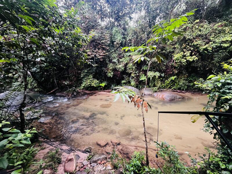 Untuk Dijual - Agricultural Land at Kampung Ulu Rening