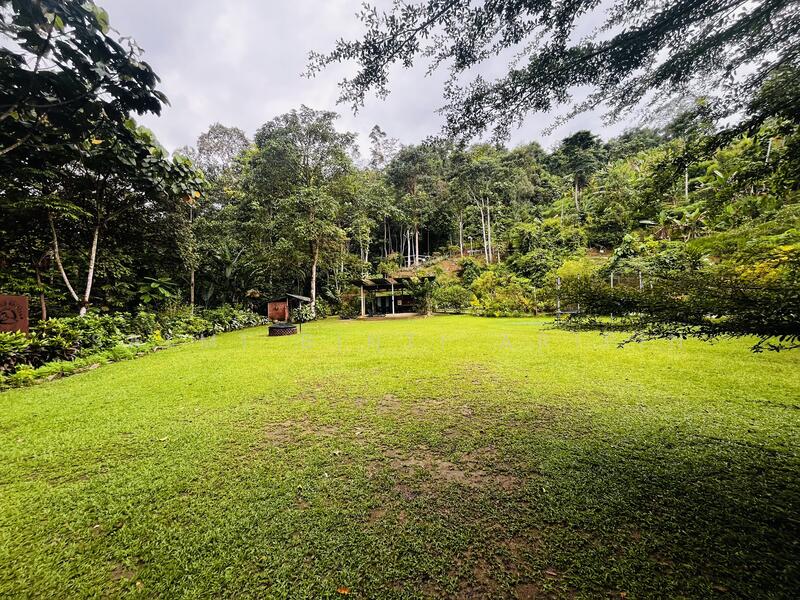 Untuk Dijual - Agricultural Land at Kampung Ulu Rening