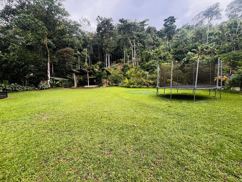 Untuk Dijual - Agricultural Land at Kampung Ulu Rening