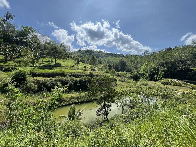 Tanah Hulu Rening, Batang Kali