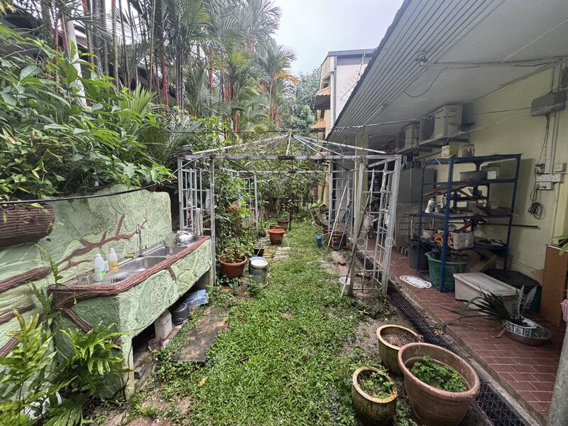 Side Garden (Left side)  
