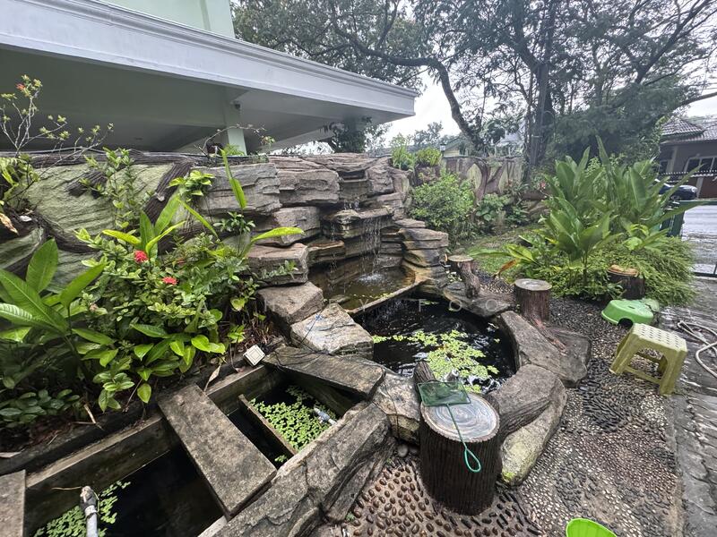 Koi & Guppy fish ponds 
