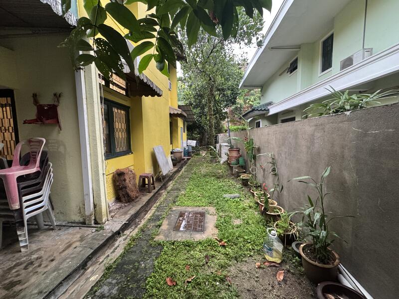Side garden (right)