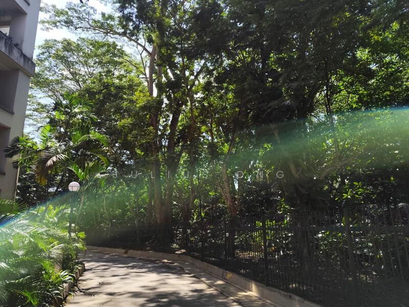 Morning & Evening stroll or jog path