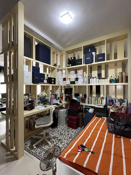 Study area