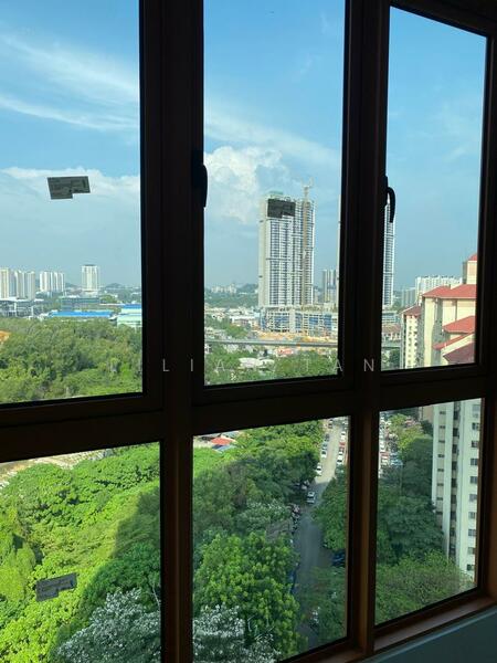 View