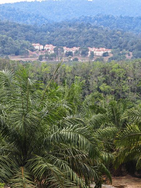Agricultural Land for Sale in Kampung Parit (Kuala Pilah) - Wendy Ng - PropertyGuru.com.my