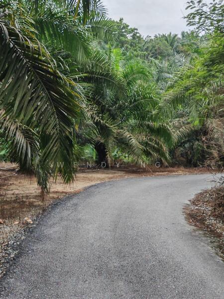 Agricultural Land for Sale in Kampung Parit (Kuala Pilah) - Wendy Ng - Exterior - PropertyGuru.com.my