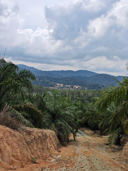 Agricultural Land for Sale in Kampung Parit (Kuala Pilah) - Wendy Ng - Exterior - PropertyGuru.com.my