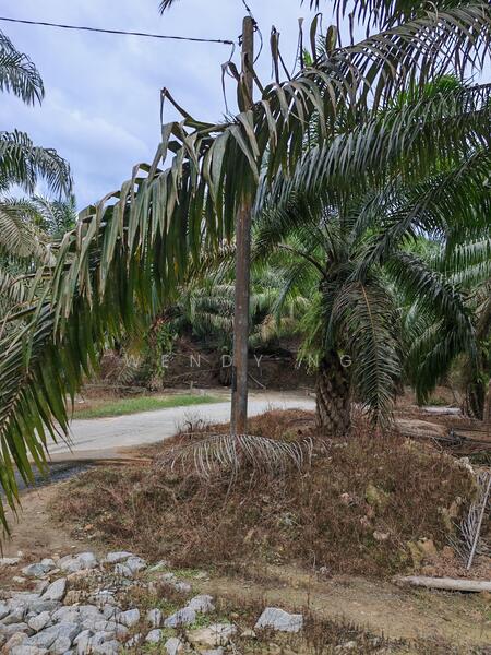 Agricultural Land for Sale in Kampung Parit (Kuala Pilah) - Wendy Ng - Exterior - PropertyGuru.com.my