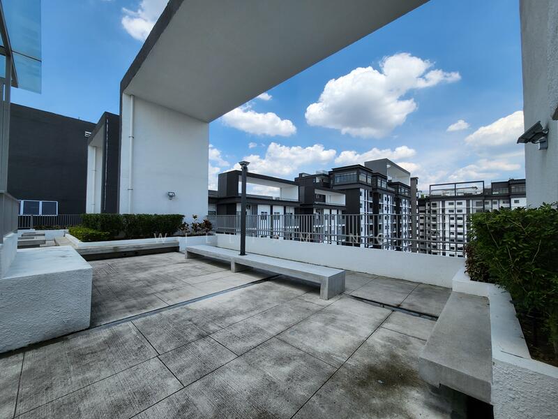 Roof Top Garden