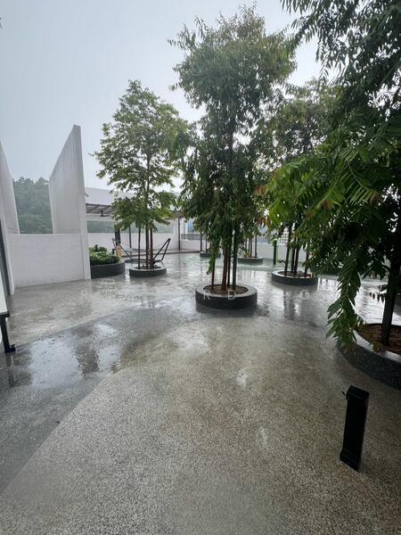 Residence Rooftop Garden