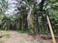 For Sale - Kampung Sungai Tawar