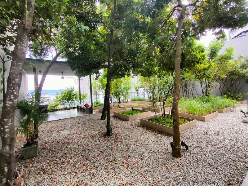 Rooftop Herbs Garden