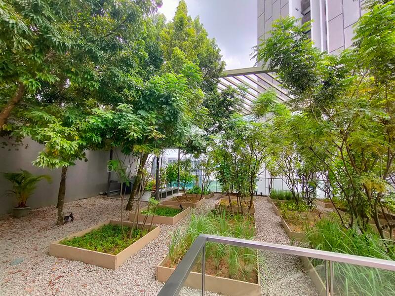 Rooftop Herbs Garden