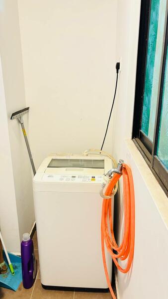 Yard with Washing Machine
