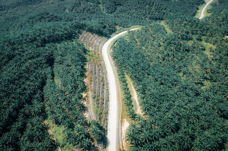 Palm oil, 7 years, freehold, Rembau, Negeri Sembilan untuk Untuk Dijual - RM 19,220,000, Apr 2026 - PropertyGuru.com.my