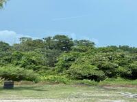 For Sale - Tanjong Kling