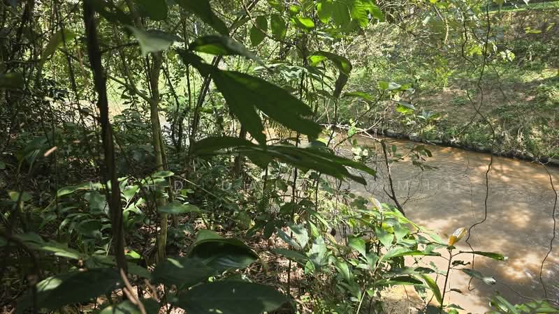 Agricultural Land for Sale in Antara Gapi (Ulu Yam) - Mohd Daim Jamil - Exterior - PropertyGuru.com.my