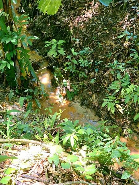 Agricultural Land for Sale in Kampung Jerlun (Kuala Kangsar) - Cherie Chong - PropertyGuru.com.my
