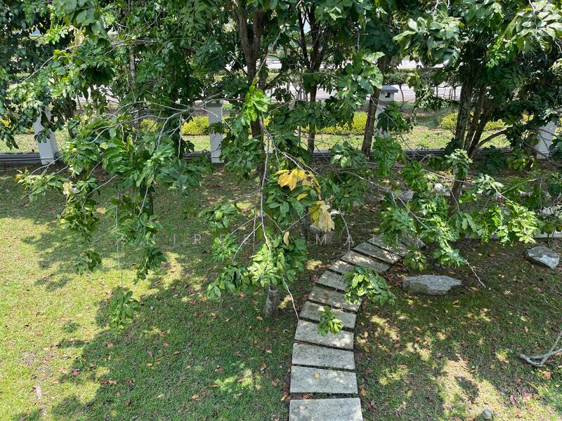 Backyard garden