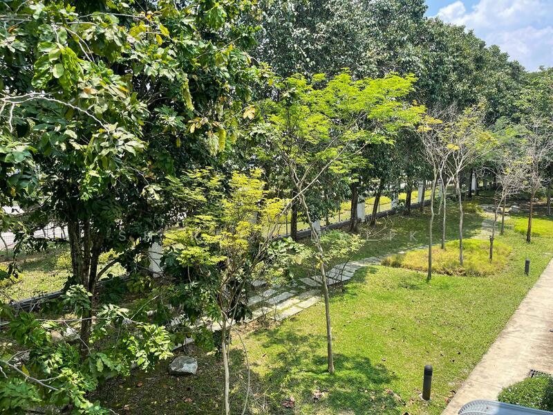 Backyard open space