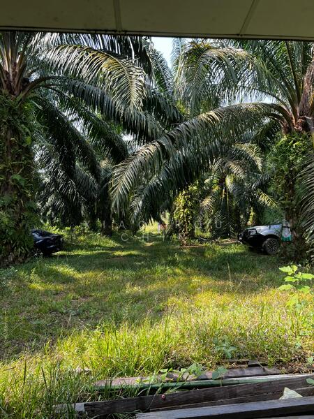 Untuk Dijual - lendu