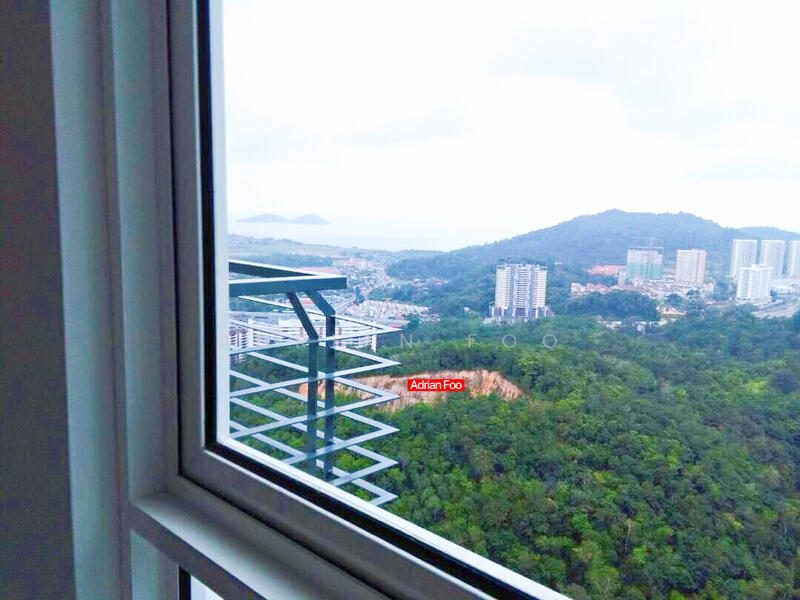 View