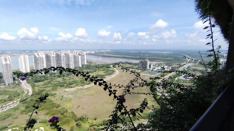 View
