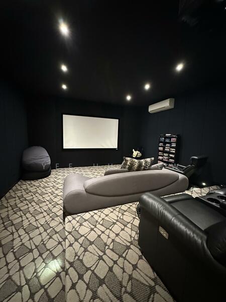 Home Theatre Room