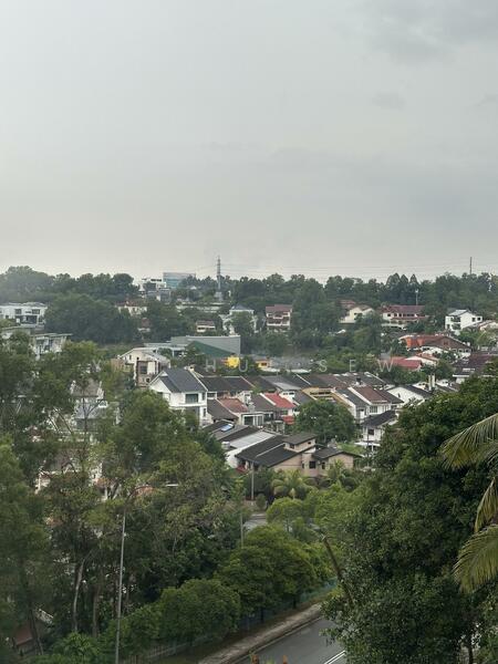 Subject Property View 