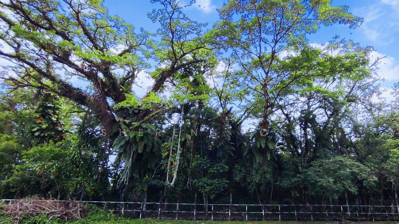 Industrial Land for Sale in Kuching (Sarawak) - Sherene Kok - Exterior - PropertyGuru.com.my